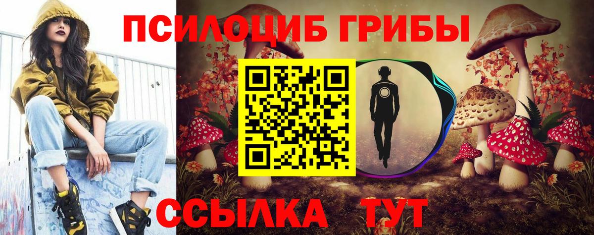 Галлюциногенные грибы прущие грибы Красногорск